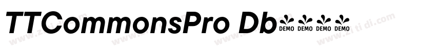 TTCommonsPro Db字体转换